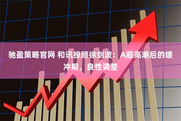 驰盈策略官网 和讯投顾徐剑波：A股高潮后的缓冲期，良性调整